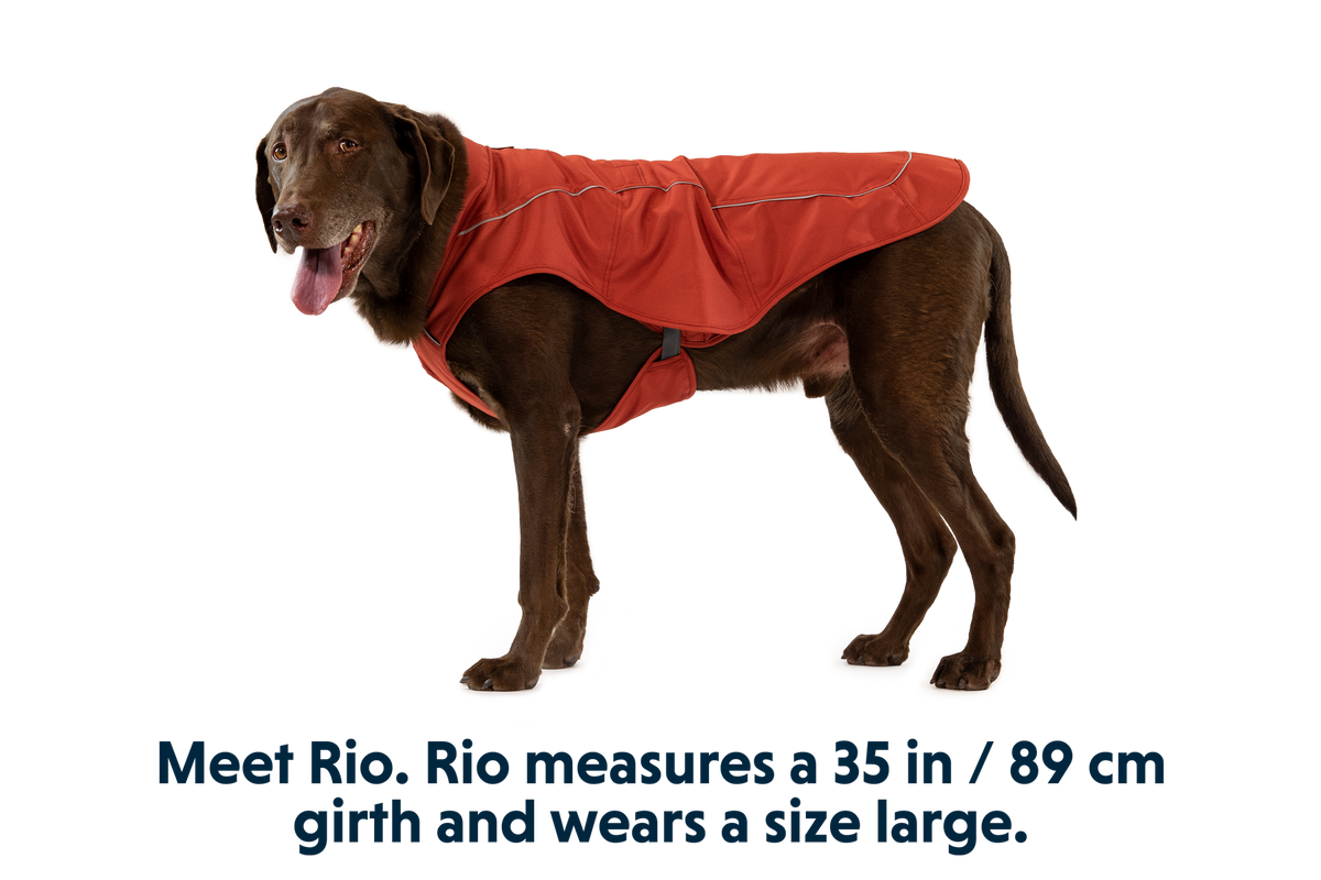 Overcoat™ Dog Jacket