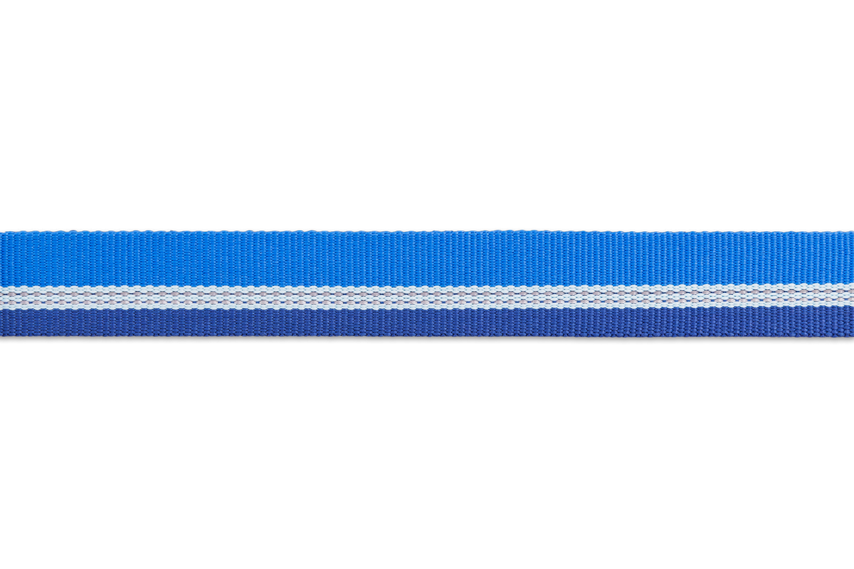 Chain Reaction™ Martingale Dog Collar