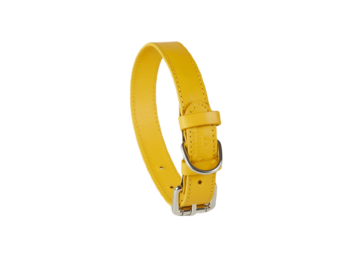 Barker & Bray Sustainable Leather Dog Collar | Lemon