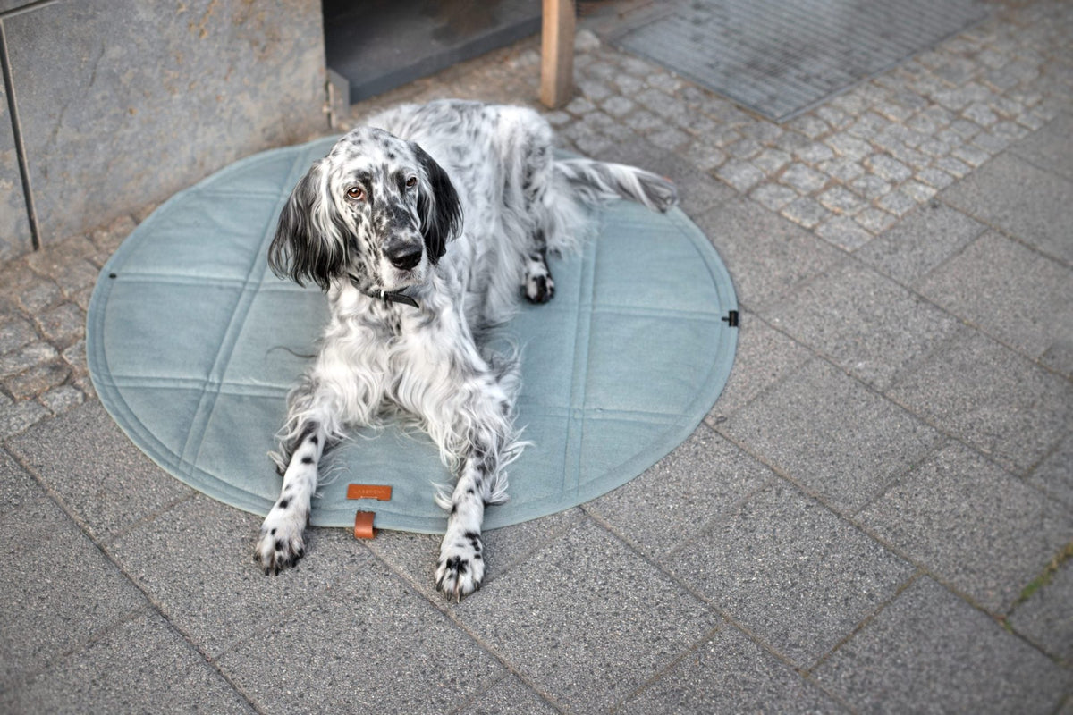 Labbvenn Okka Dog Travel Mat