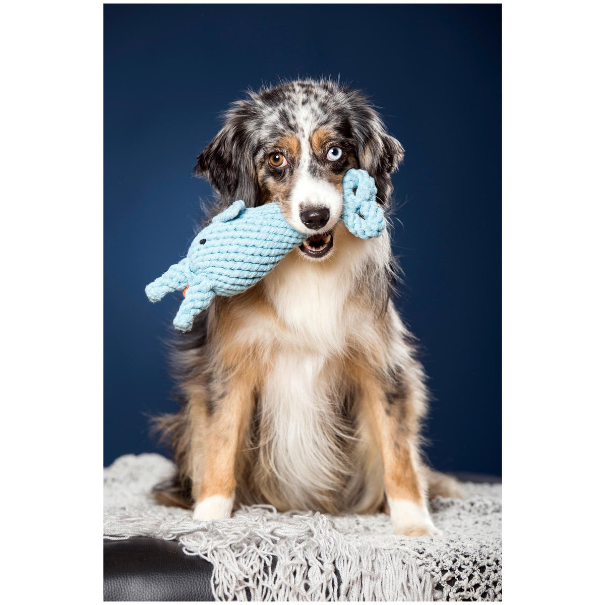 Laboni Big Ocean Dog Toy Set