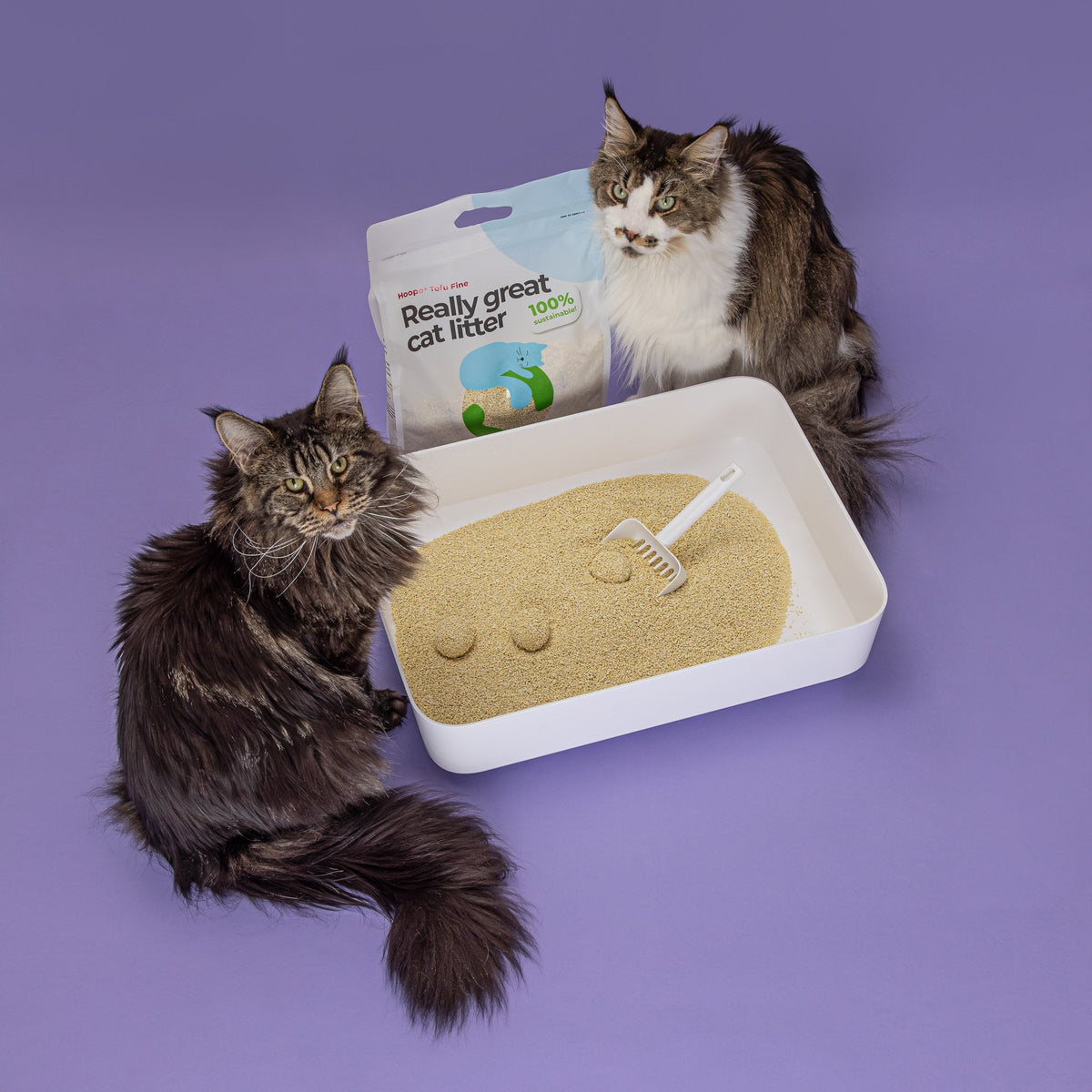 Hoopo Tofu Fine Cat Litter | 7L