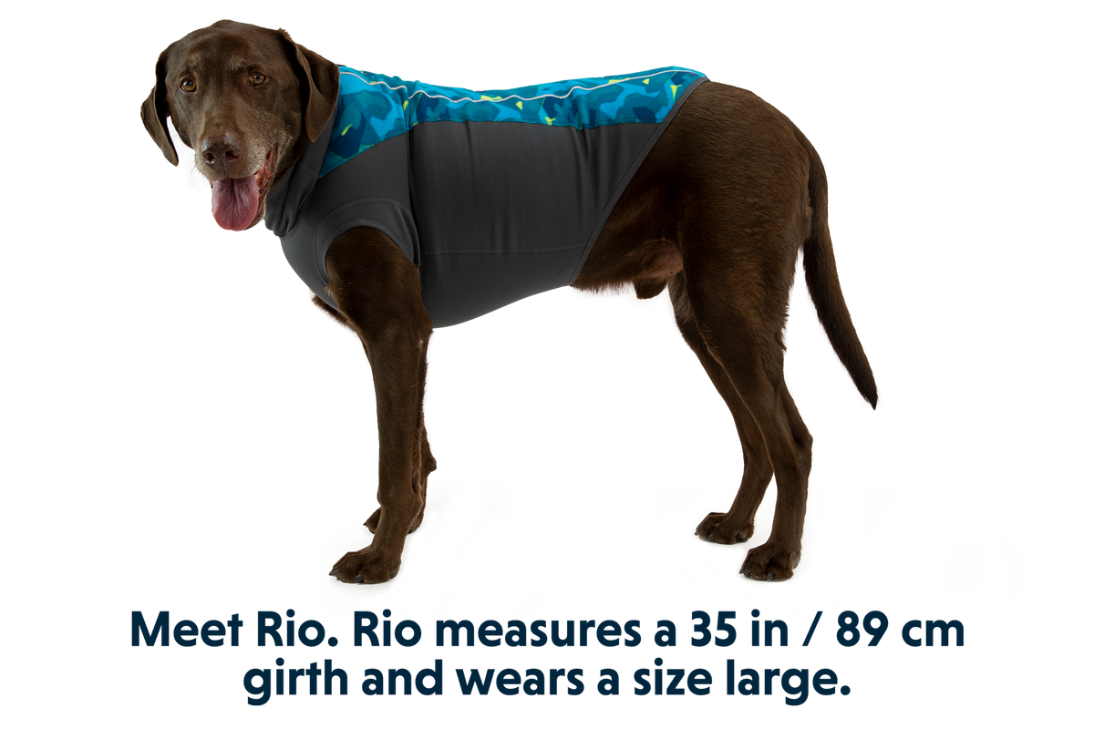 Climate Changer™ Dog Fleece Pullover