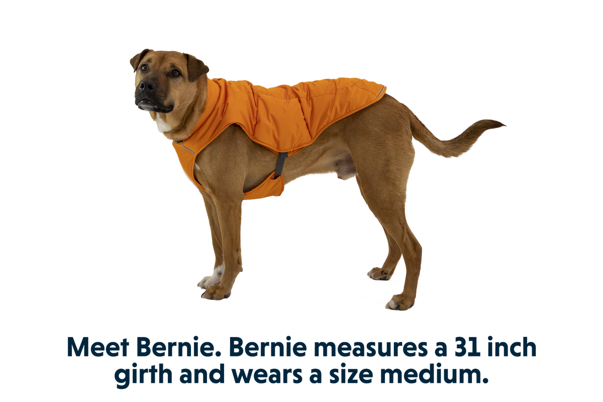 Quinzee™ Dog Vest