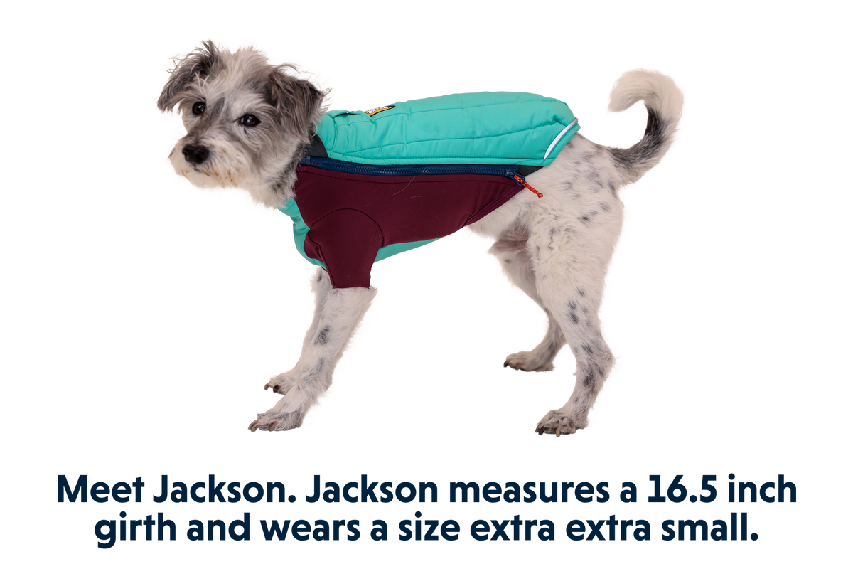 Powder Hound™ Dog Jacket