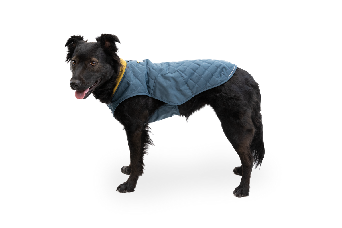 Stumptown™ Quilted Dog Vest