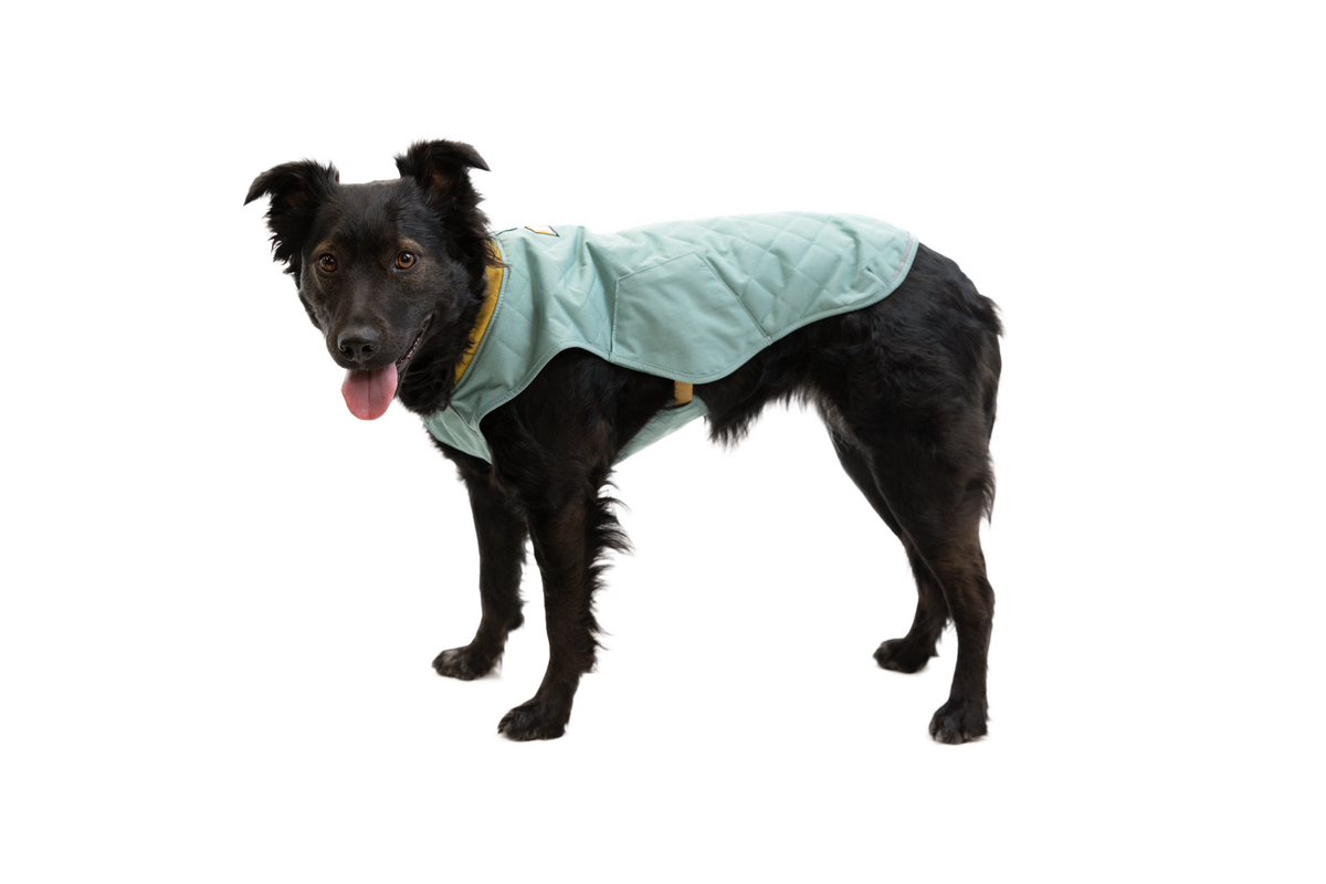 Stumptown™ Quilted Dog Vest