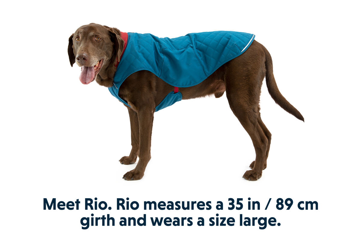 Stumptown™ Quilted Dog Vest