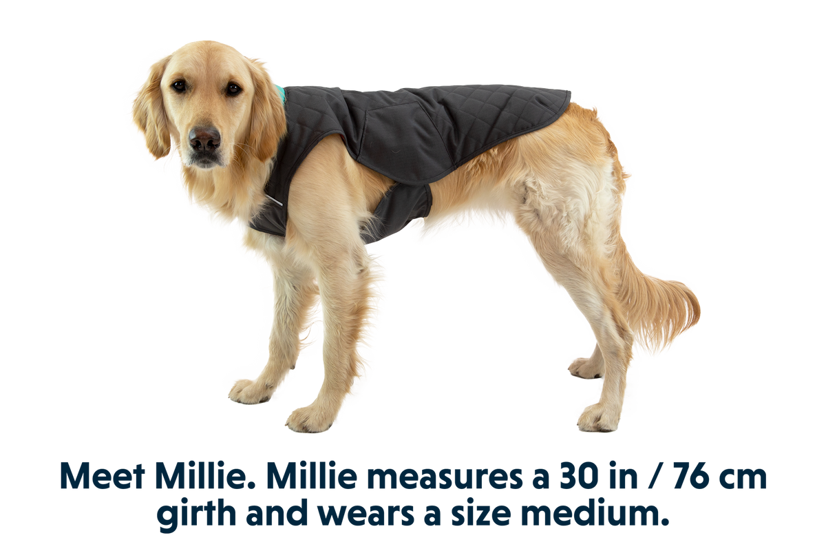 Stumptown™ Quilted Dog Vest
