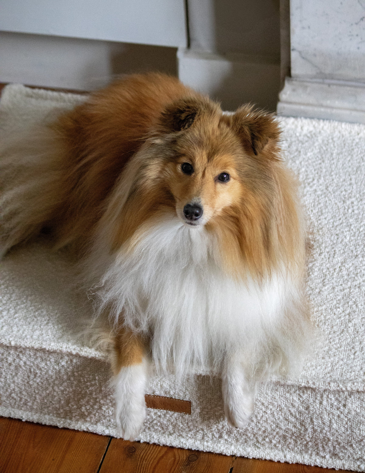 MISSOGNO Prestige Orthopaedic Boucle Rectangle Dog Bed