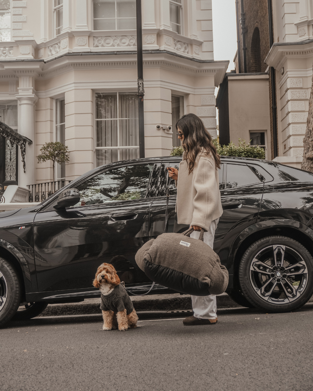 By Teddy The Cosy Dog Car Seat