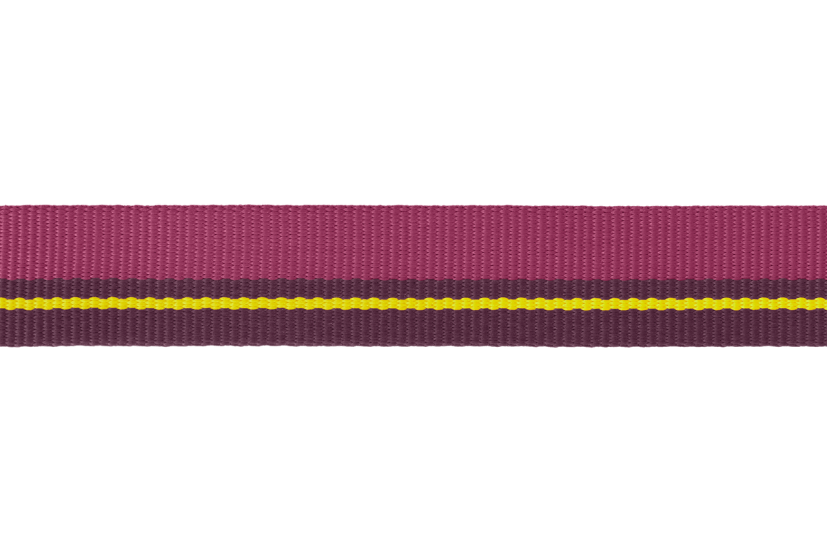 Flat Out™ Dog Collar