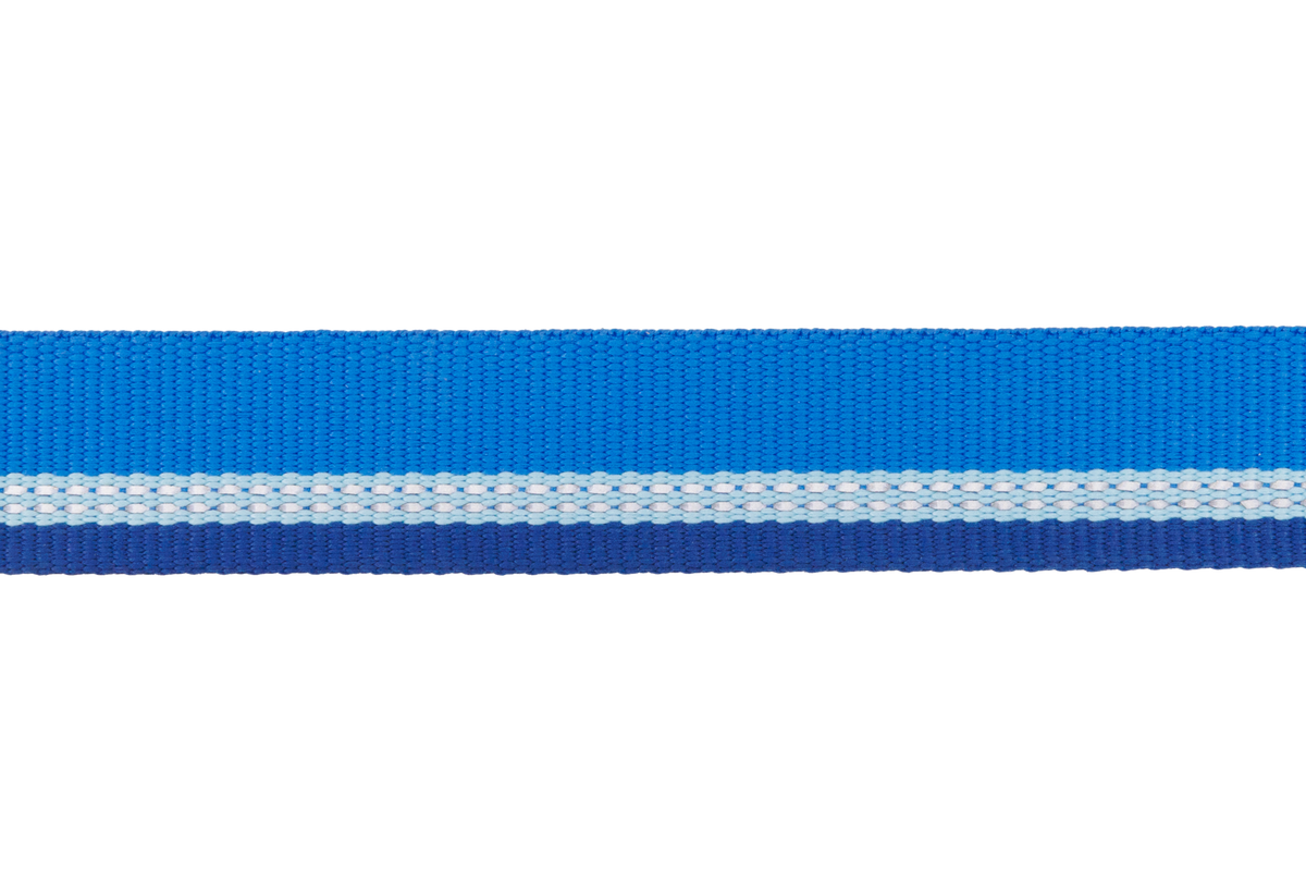 Top Rope™ Metal Buckle Dog Collar