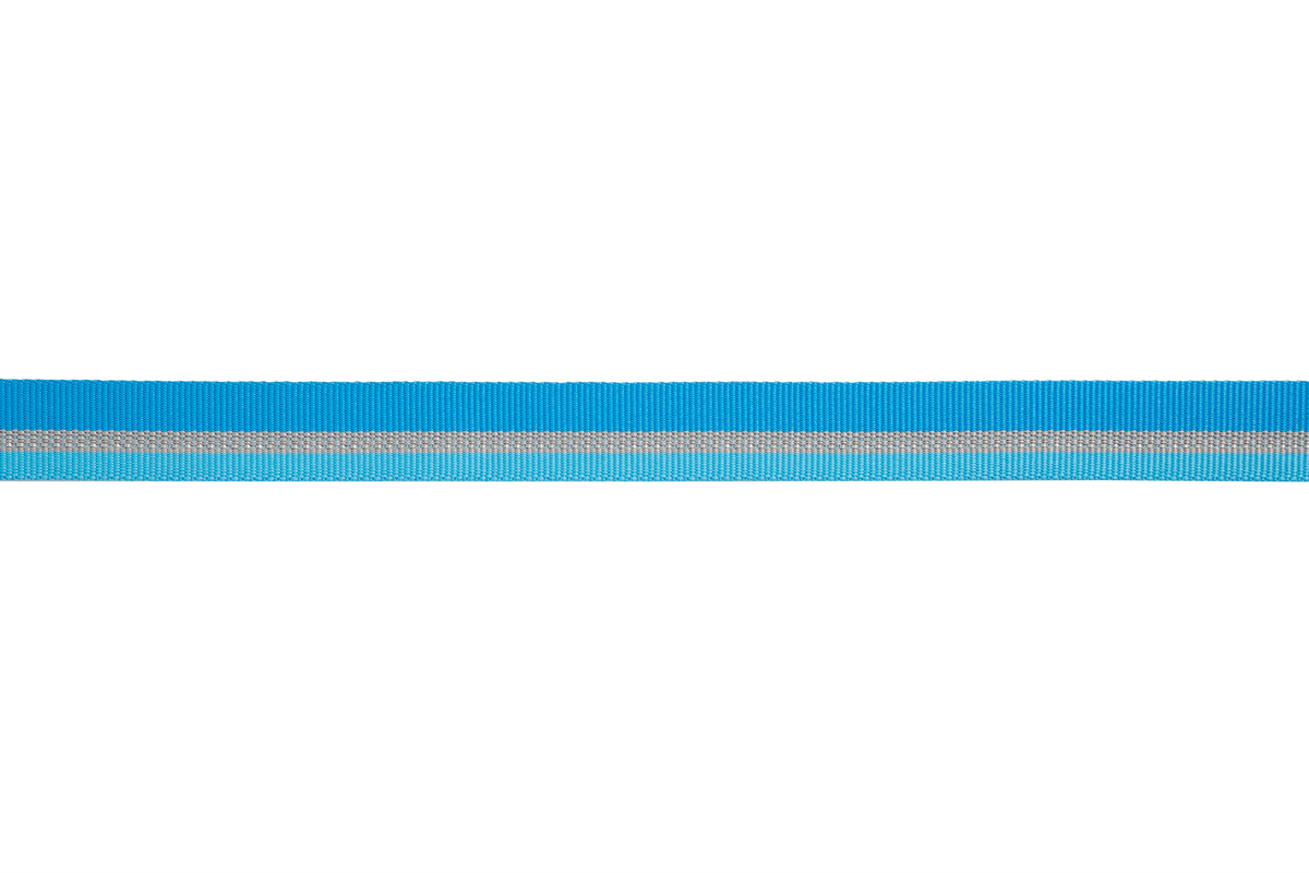 Web Reaction™ Martingale Dog Collar With Buckle
