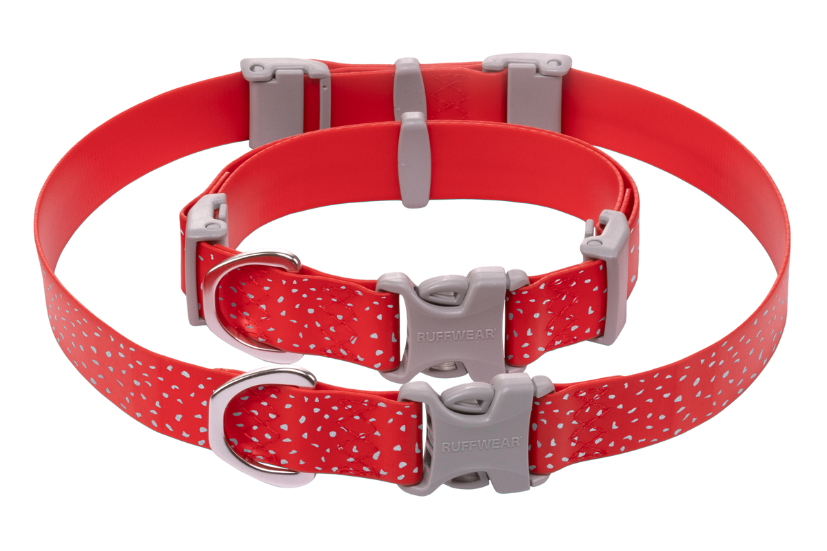 Confluence™ Waterproof Dog Collar