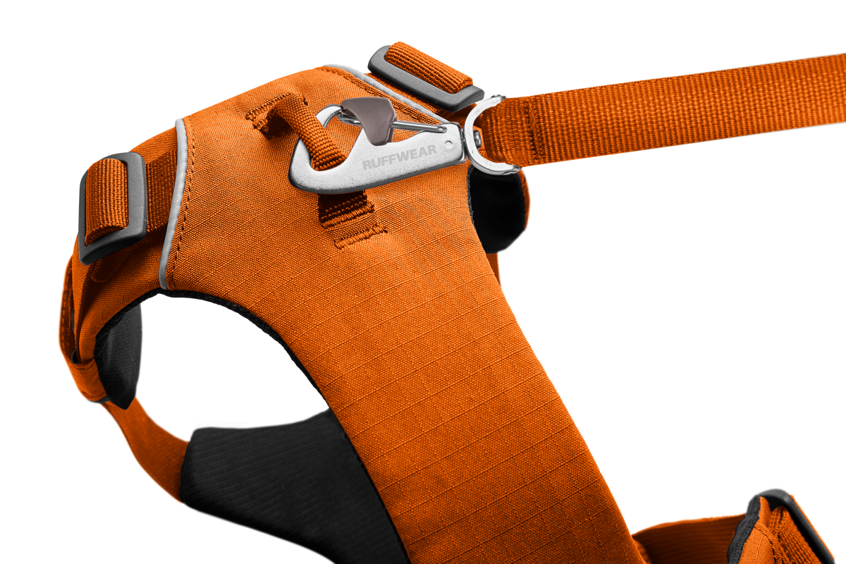 Front Range® Dog Harness