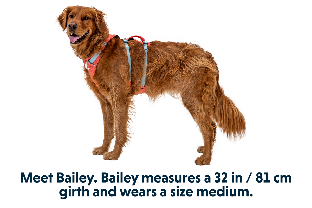 Flagline™ Dog Harness with Handle
