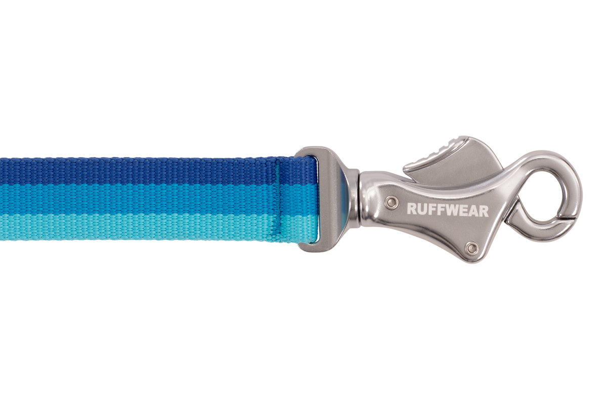 Roamer™ Bungee Dog Running Lead