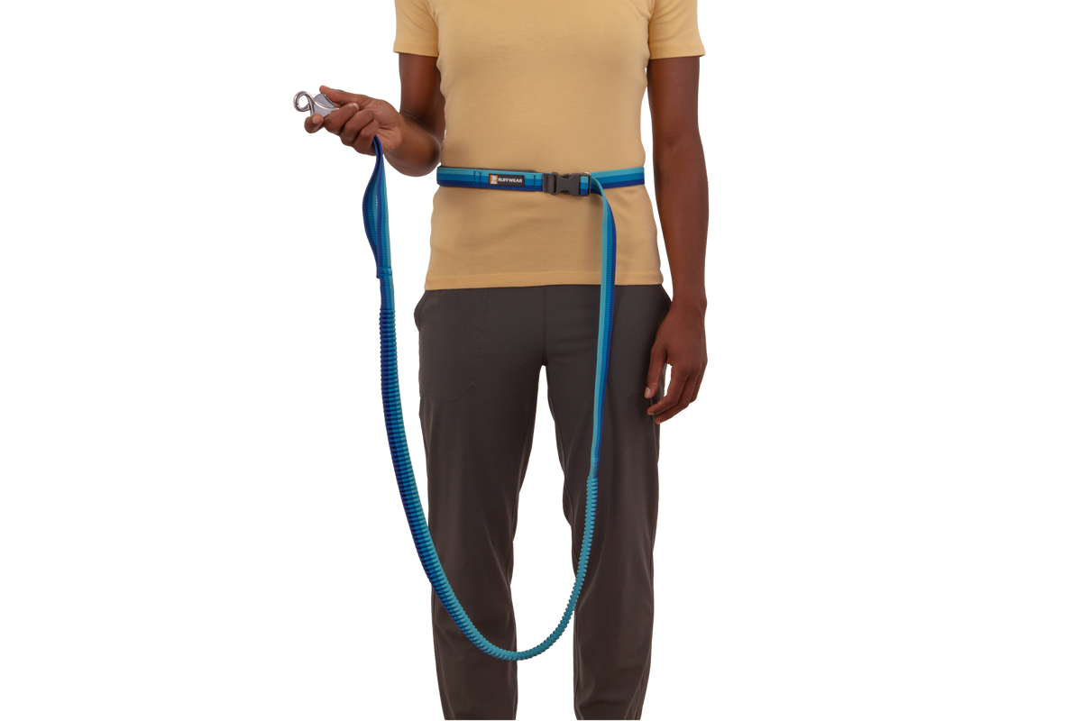 Roamer™ Bungee Dog Running Lead