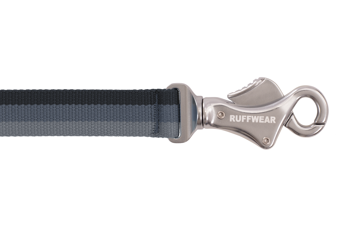 Roamer™ Bungee Dog Running Lead