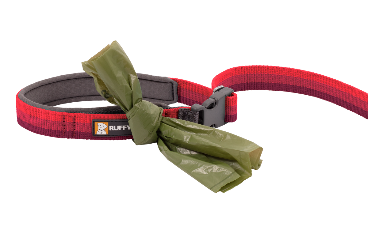 Roamer™ Bungee Dog Running Lead