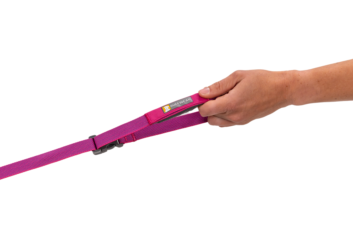 Flagline™ Dog Lead