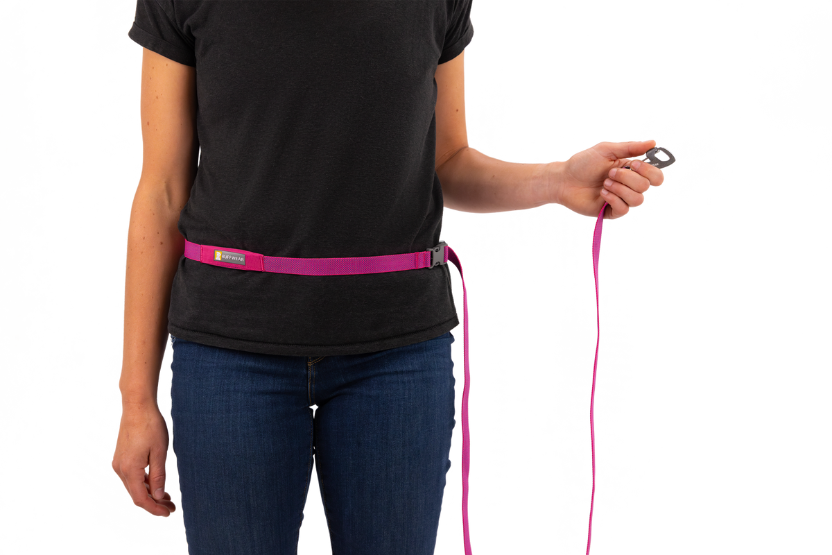 Flagline™ Dog Lead