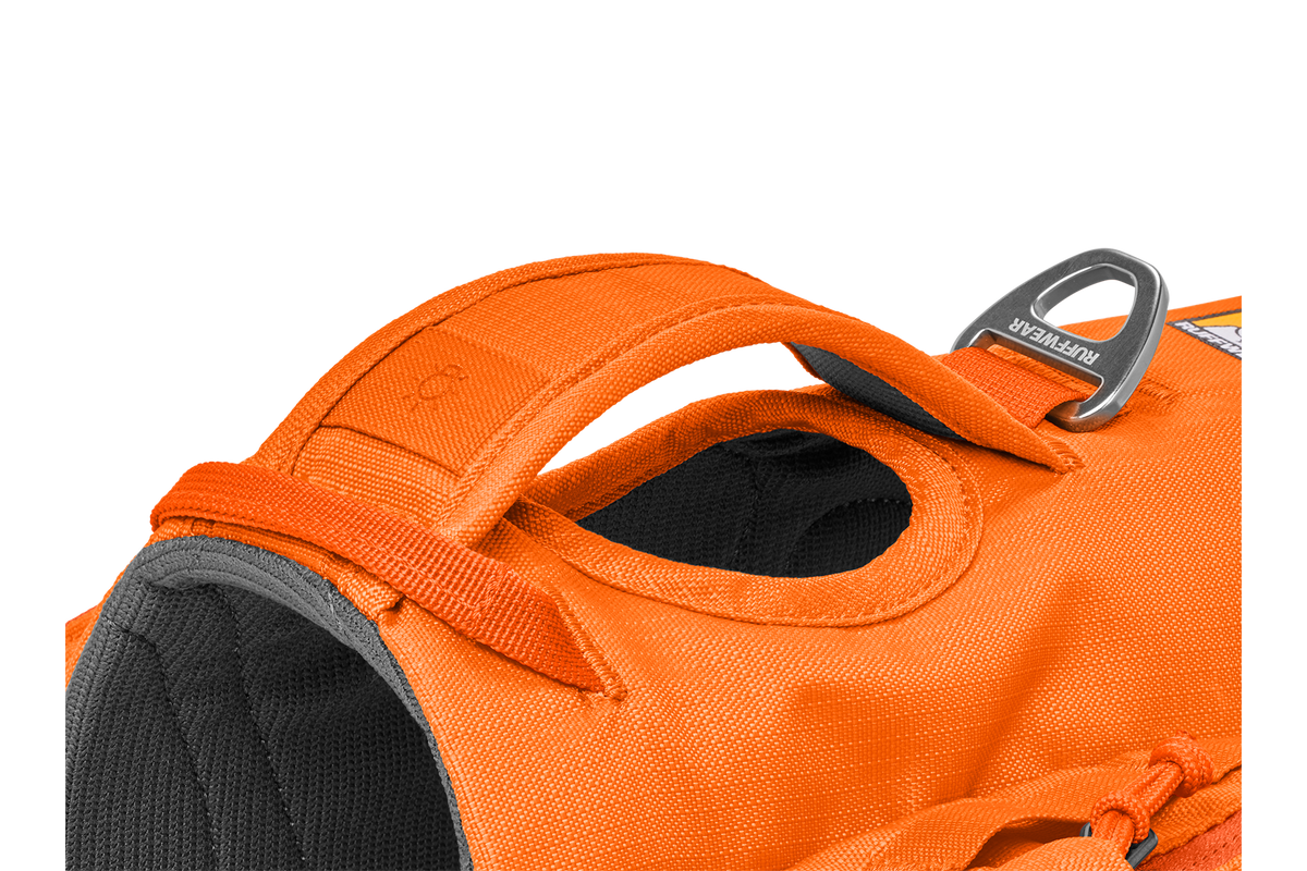 Approach™ Backpack