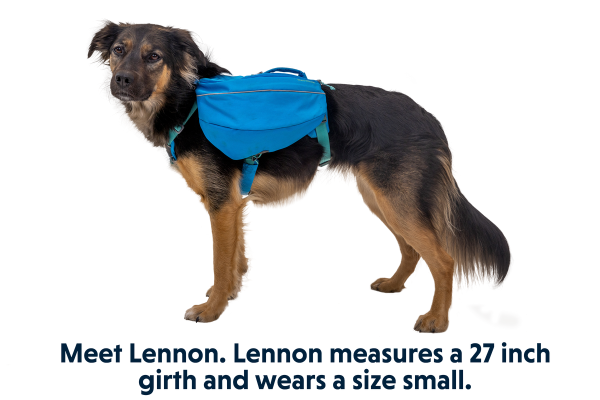 Approach™ Dog Backpack