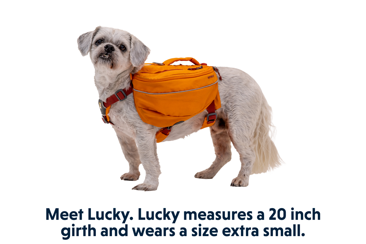 Approach™ Dog Backpack