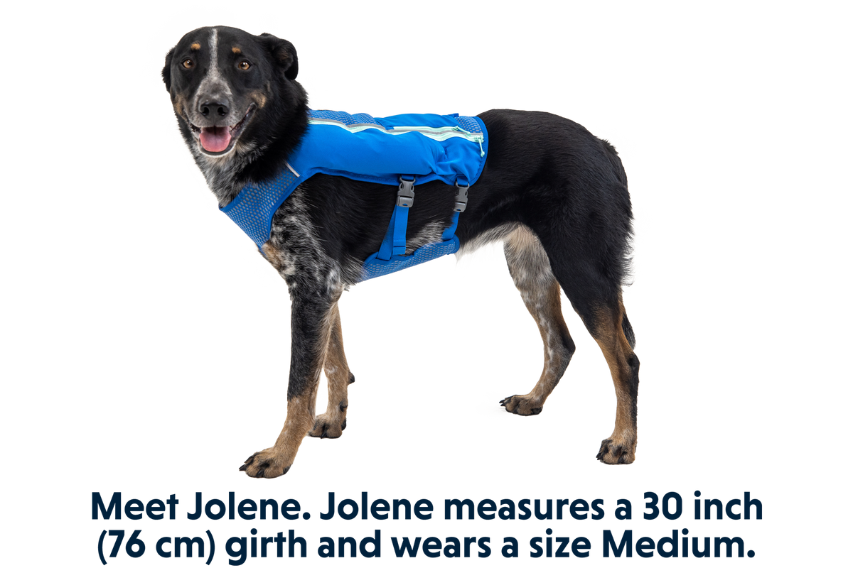 Trail Runner™ Dog Running Vest