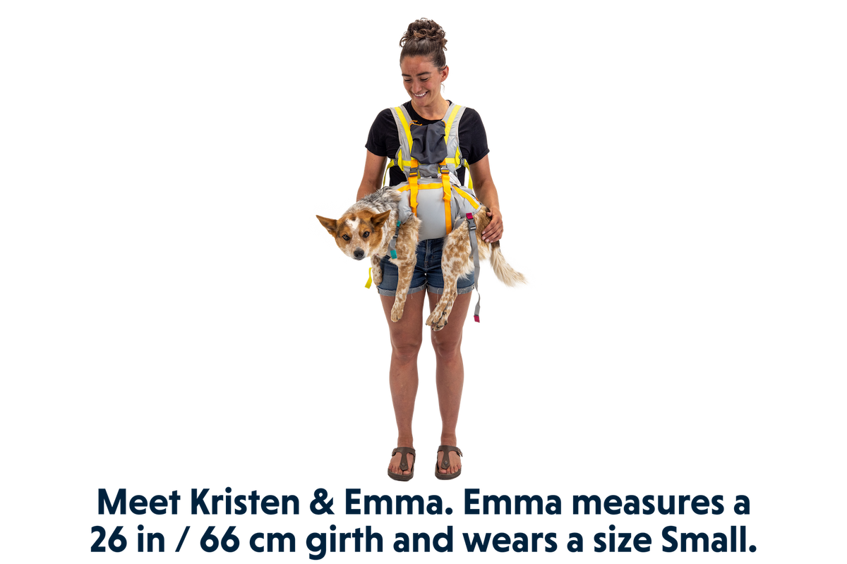 BackTrak™ Dog Evacuation Kit