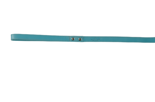 Baker & Bray Sustainable Leather Dog Collar & Lead Set | Lagoon