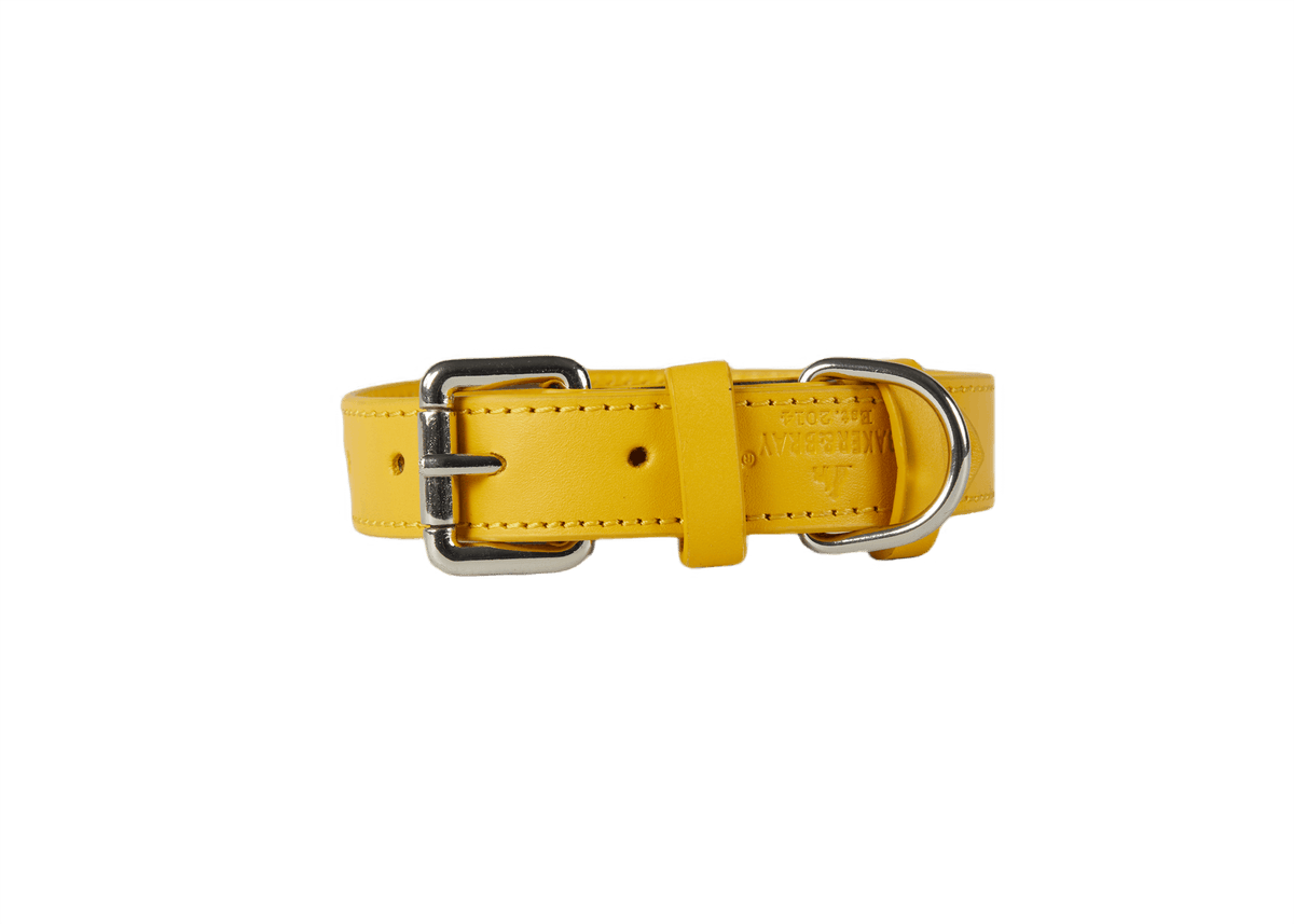 Barker & Bray Sustainable Leather Dog Collar | Lemon