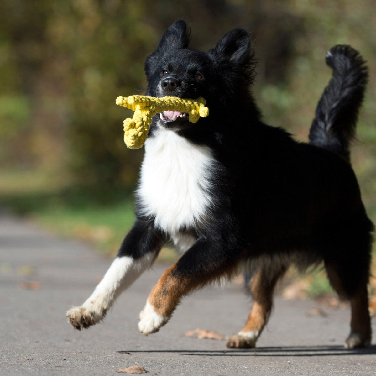 Laboni Big Wildlife Dog Toy Set