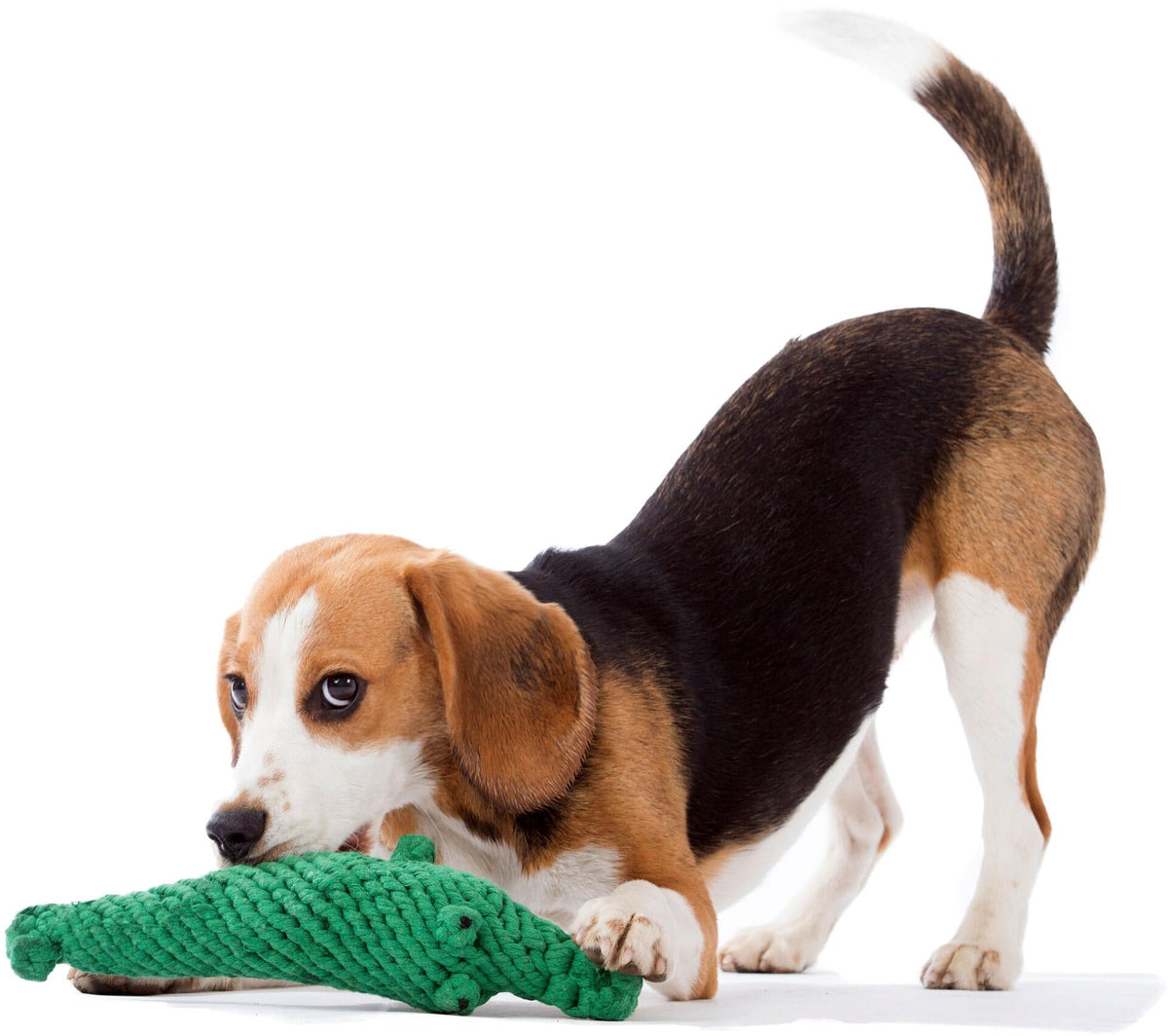 Laboni Big Wildlife Dog Toy Set