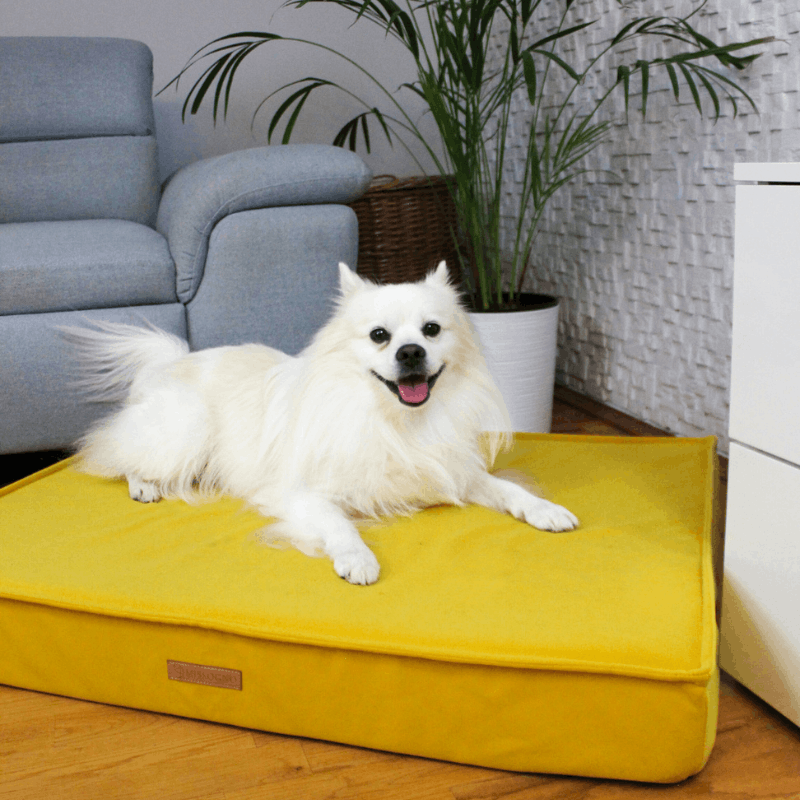 MISSOGNO Charm Orthopaedic Rectangle Dog Bed