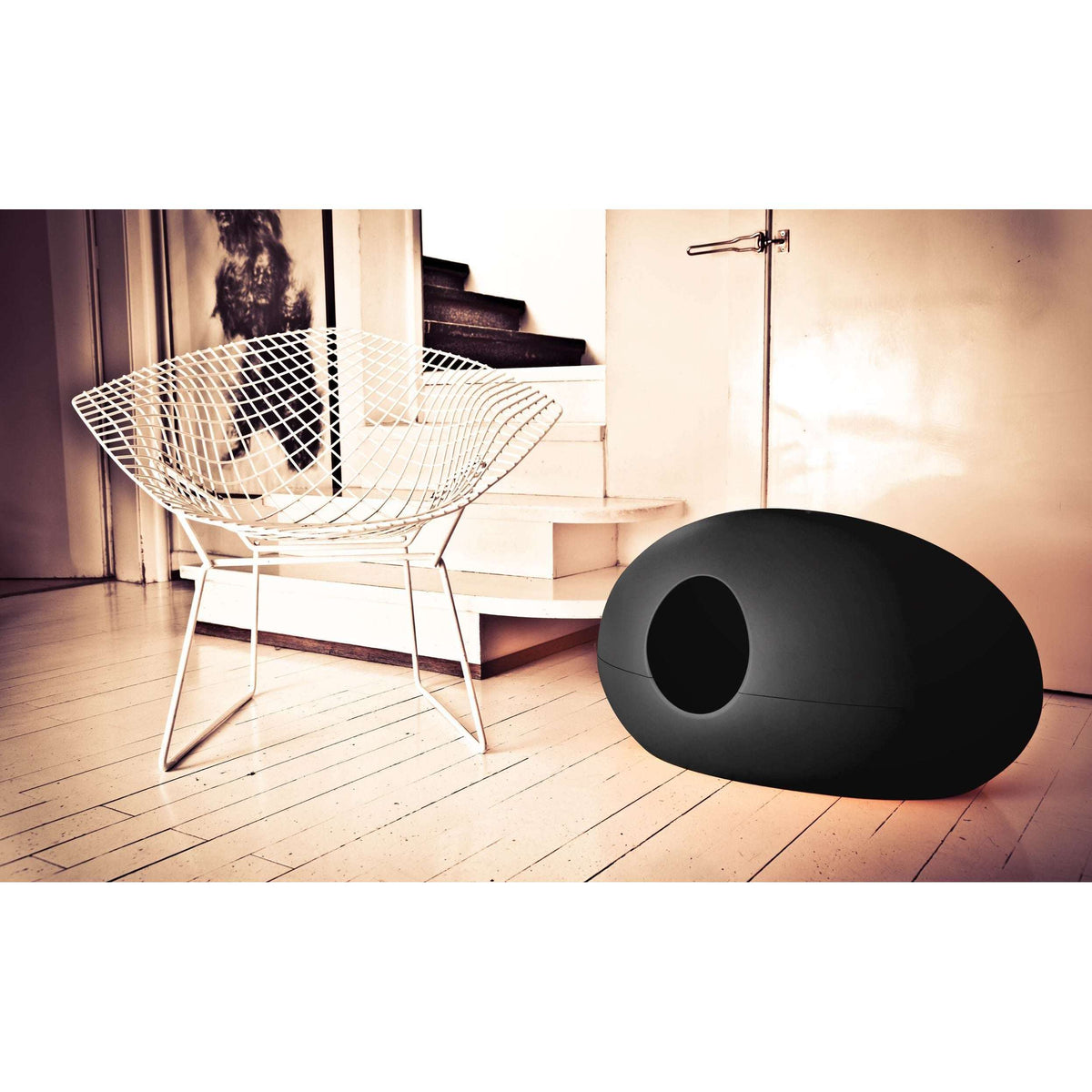 Design Cat Litter Box