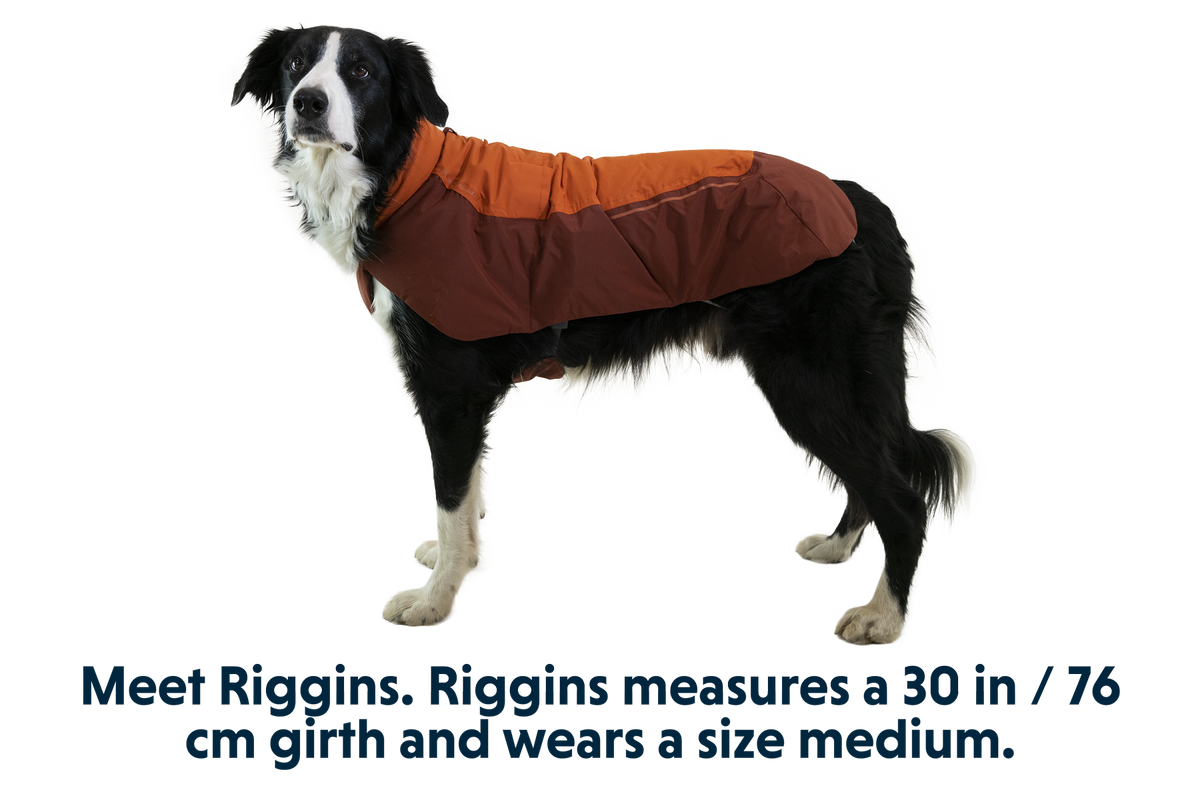 Vert™ Dog Vest