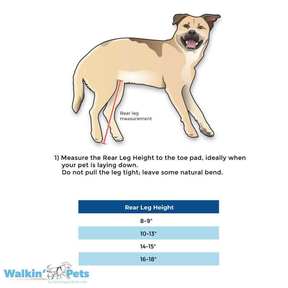 Walkin Wheels® MEDIUM Rear Dog Wheelchair (11 to 30kg)