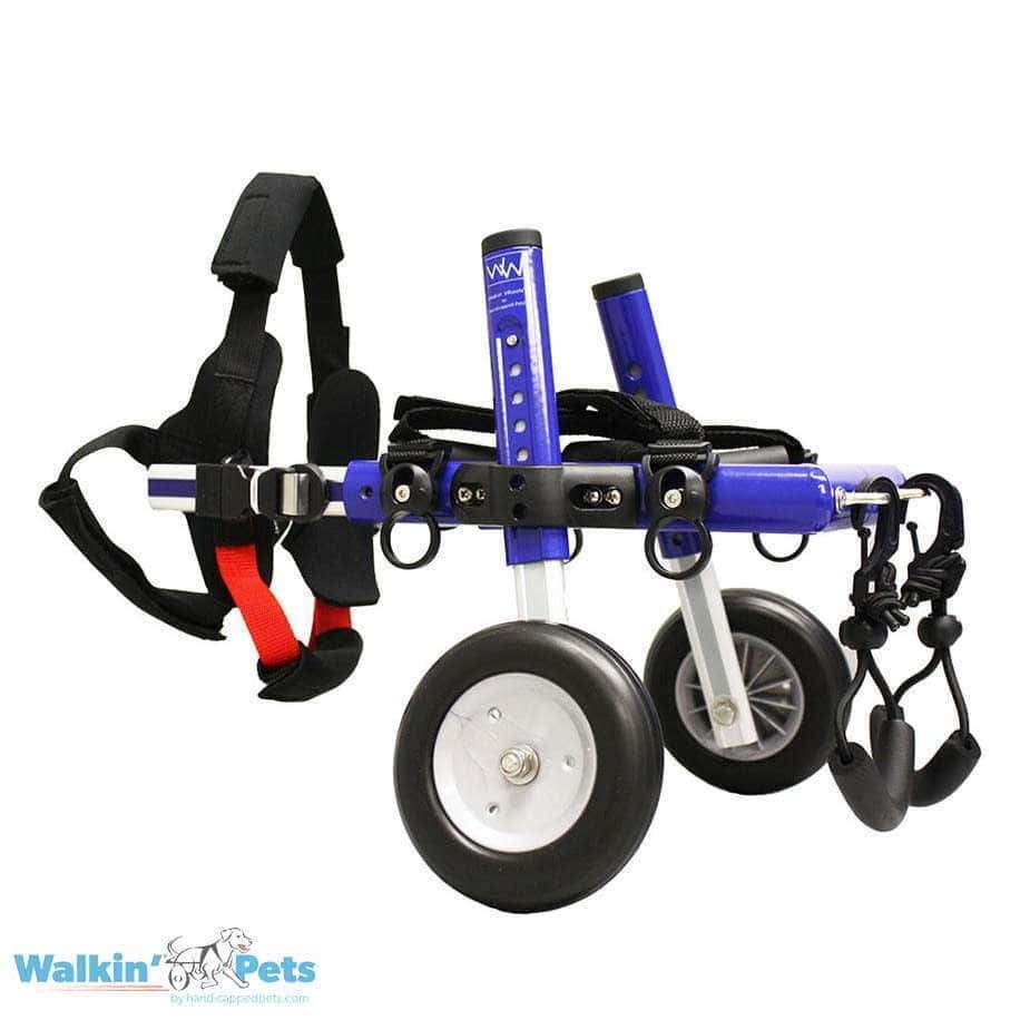 Walkin’ Wheels DACHSHUND Wheelchair