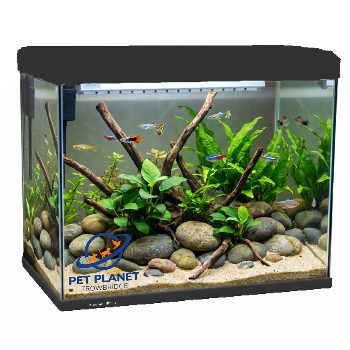 Pet Planet Trowbridge 40L Black Aquarium