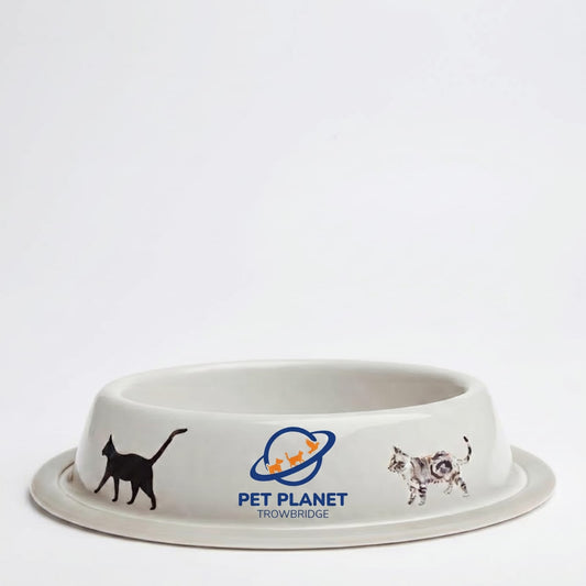 Pet Planet Trowbridge Galvanised Steel Cat Bowl