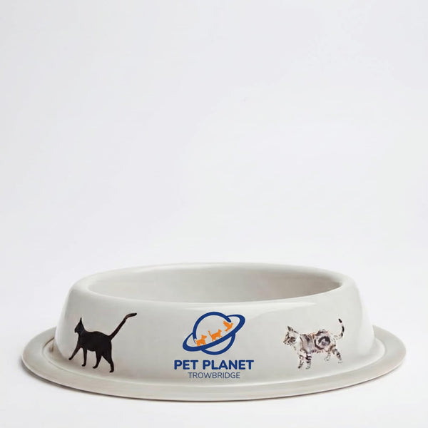 Pet Planet Trowbridge Galvanised Steel Cat Bowl