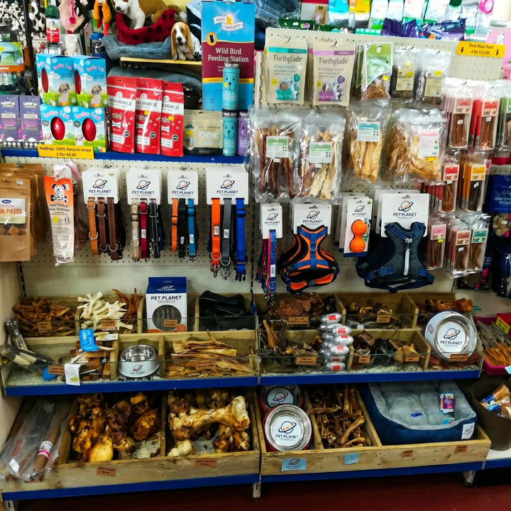 Pet Planet Trowbridge interior