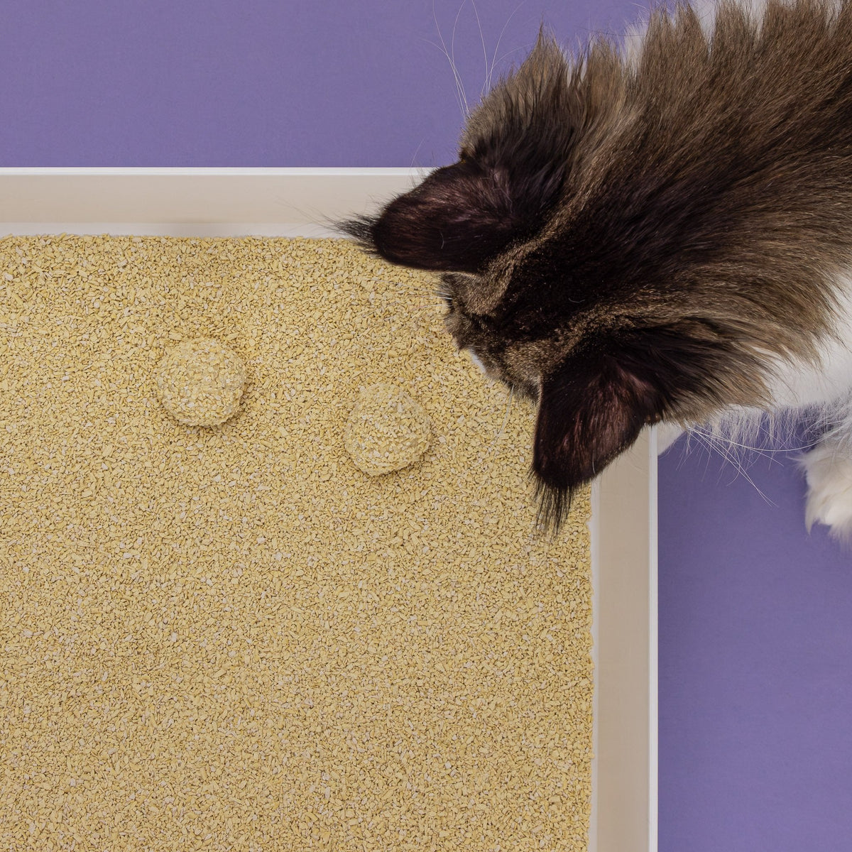 Hoopo Tofu Fine Cat Litter | 7L