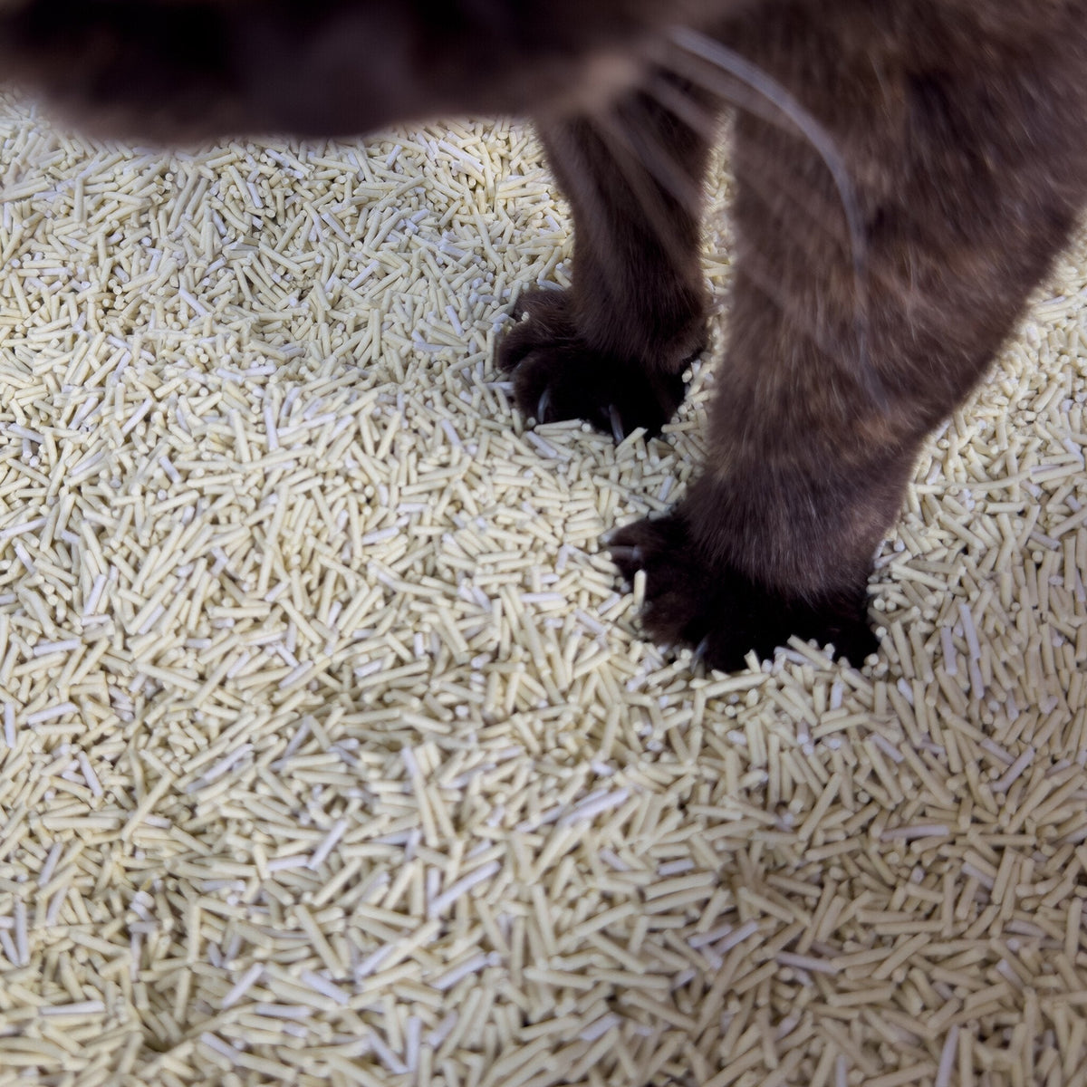 Hoopo Tofu Cat Litter | 7L