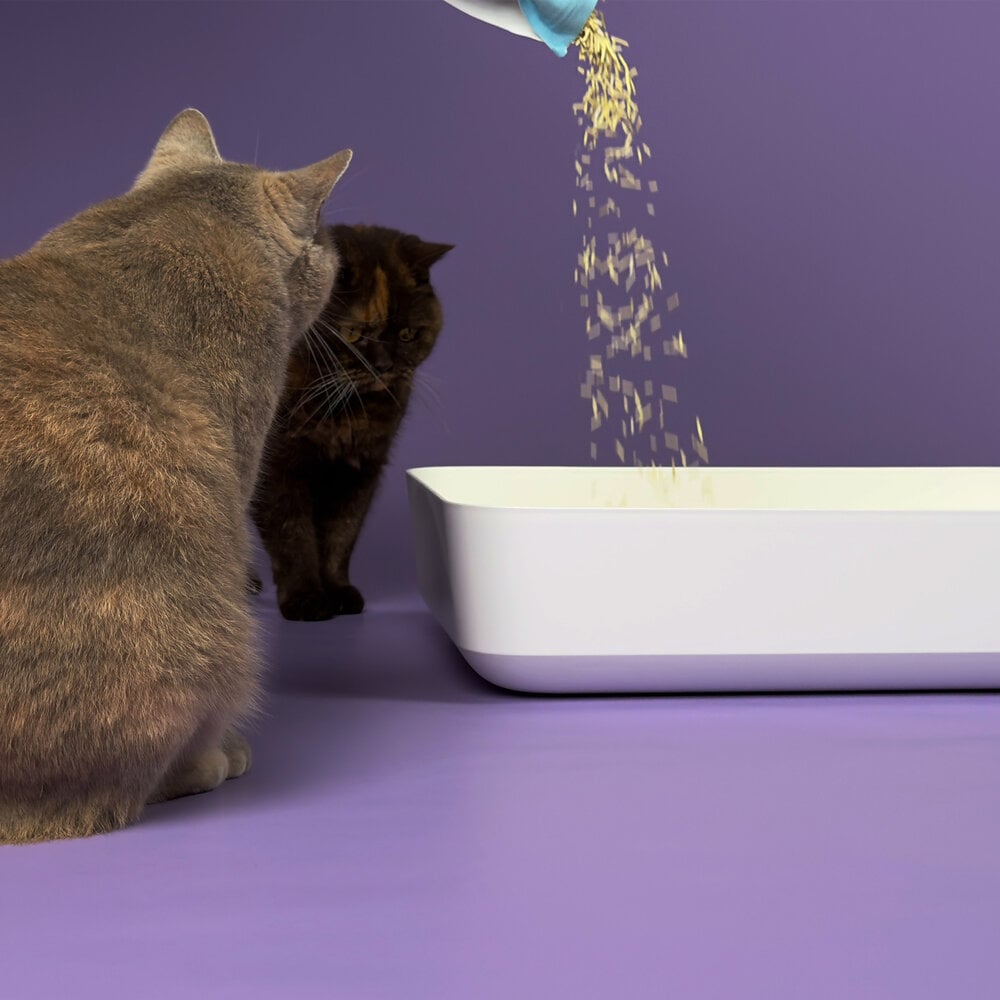Hoopo Tofu Cat Litter | 7L
