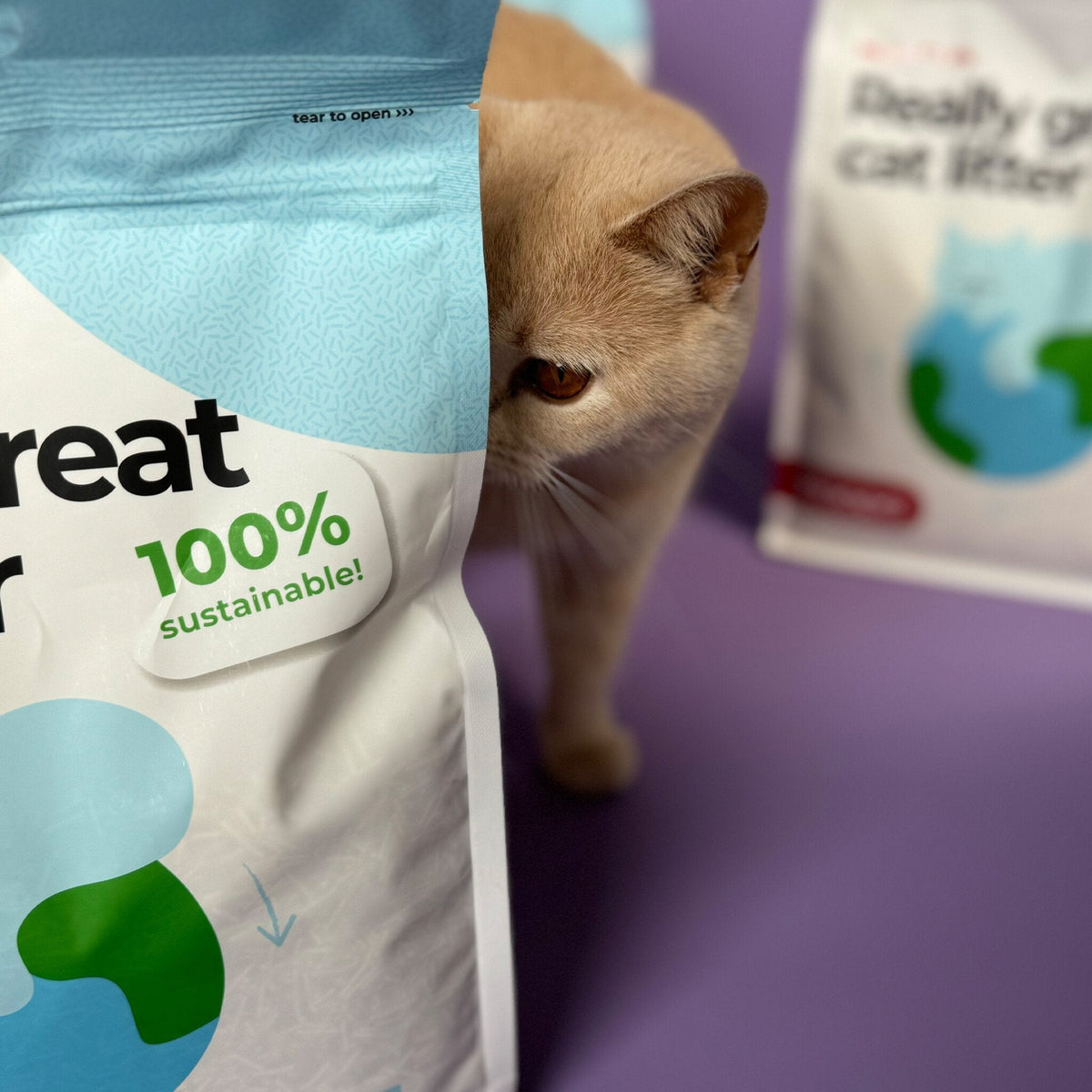 Hoopo Tofu Cat Litter | 7L