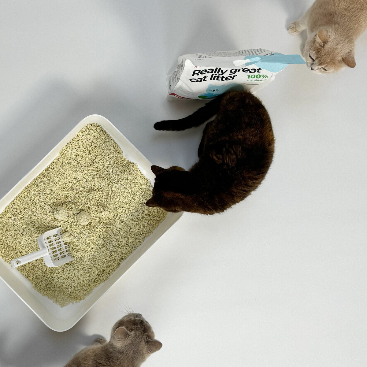 Hoopo Tofu Cat Litter | 7L